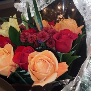 Meet your Posher, Natasha